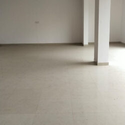 Aditi Rudra Entrepreneurs (8)